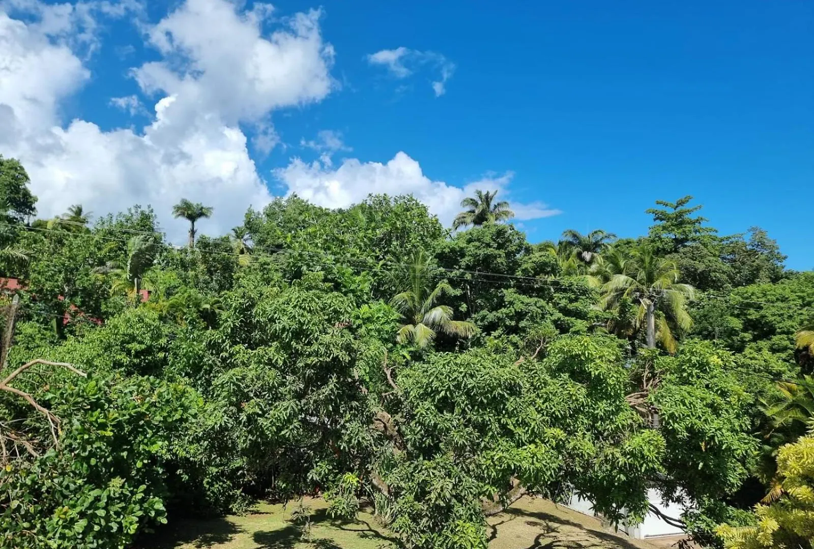 Delices Du Papillon Villa Petit-Bourg 0*,  Guadeloupe